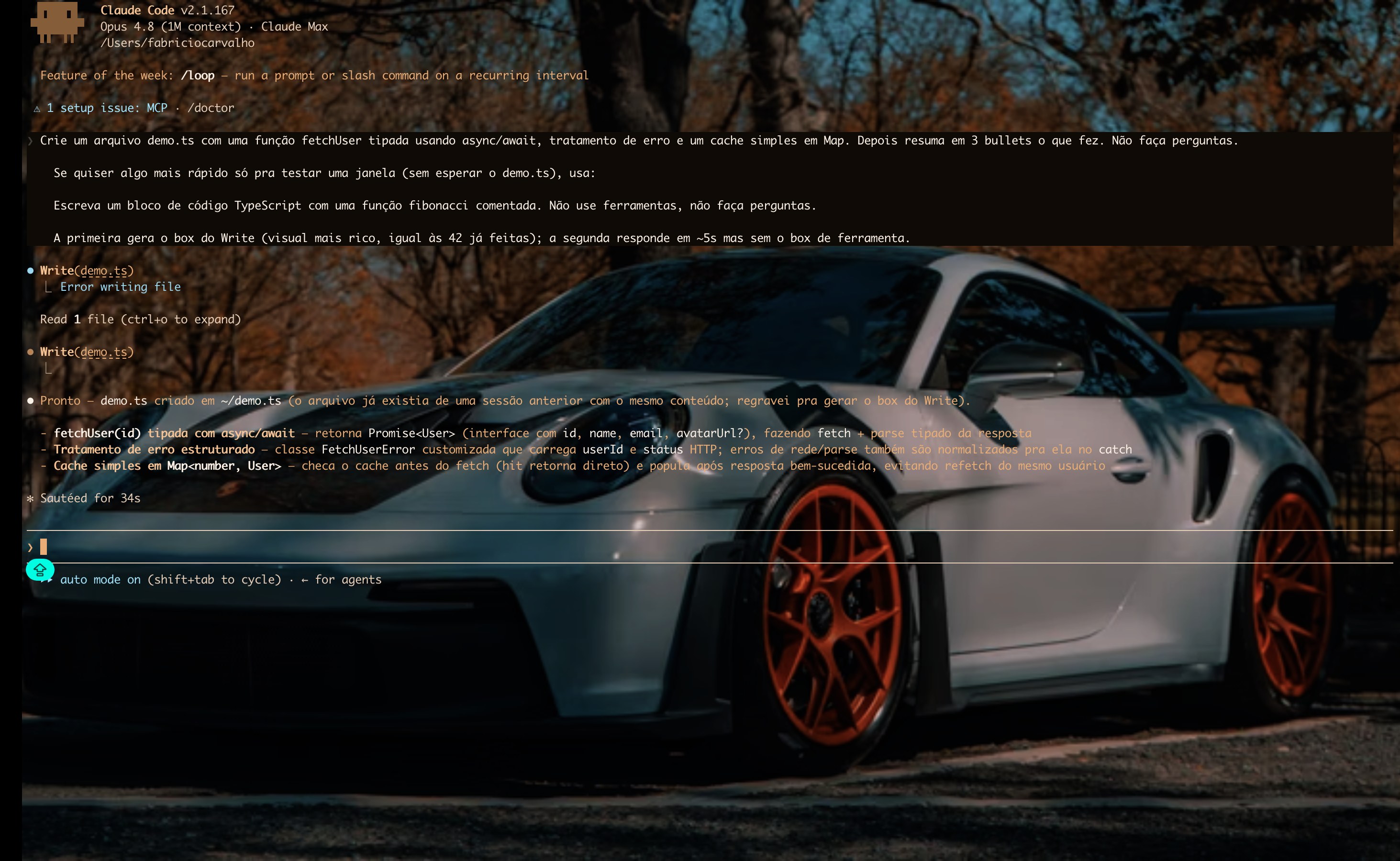 Skin GT3 RS